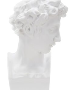 SCULTURA ROMAN YOUNG CM 20X17,5X30