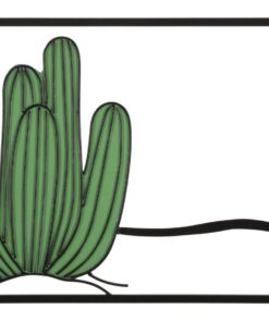 PANNELLO DA MURO CACTUS CM 60X1,3X33