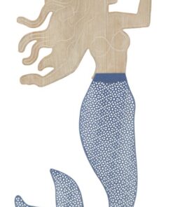 PENNELLO DA MURO SIRENA CM 30,5X2X60