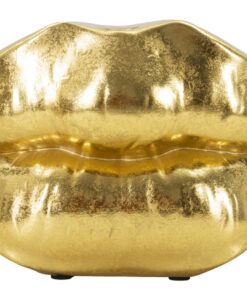 VASO MOUTH LIP CM 23X8X12