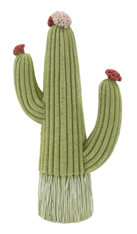 CACTUS CM 13X7X25