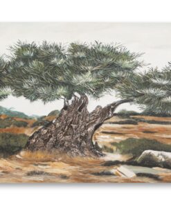 DIPINTO SU TELA OLIVO -B- CM 120X3,8X80