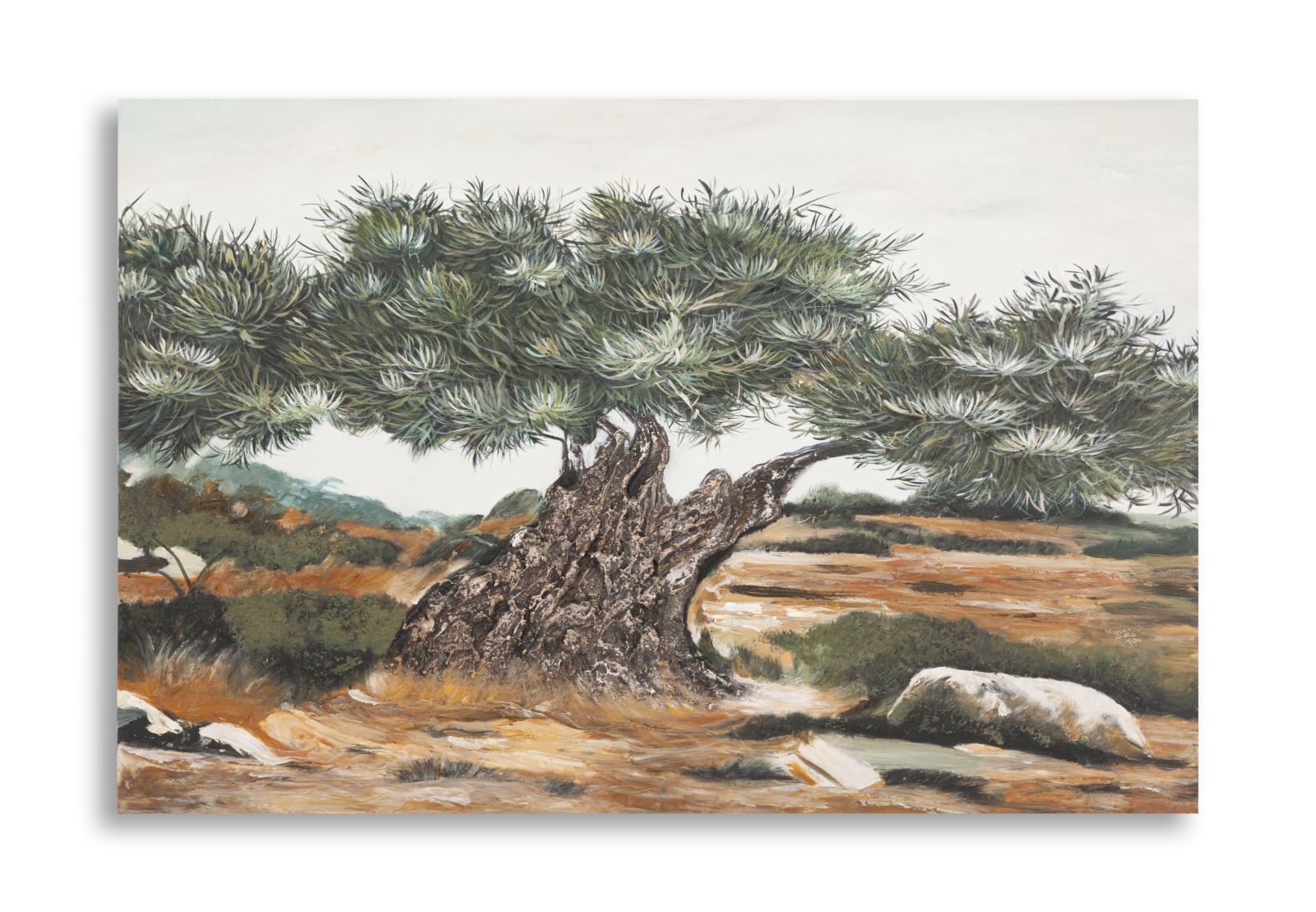 DIPINTO SU TELA OLIVO -B- CM 120X3,8X80
