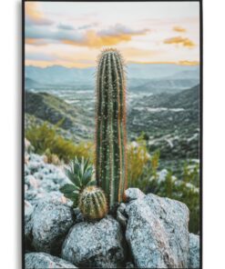 STAMPA SU TELA LACCATA C/CORNICE CACTUS -A- CM 60X4X90