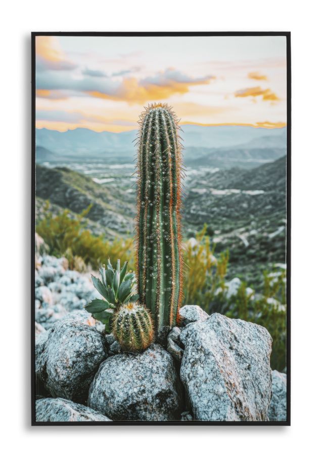 STAMPA SU TELA LACCATA C/CORNICE CACTUS -A- CM 60X4X90