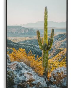 STAMPA SU TELA LACCATA C/CORNICE CACTUS -B- CM 60X4X90