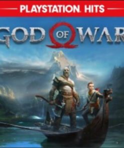 SONY PS4 GIOCO GOD OF WAR HITS IT